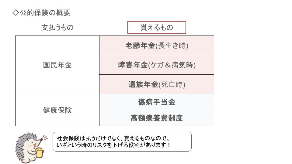 公的保険の概要